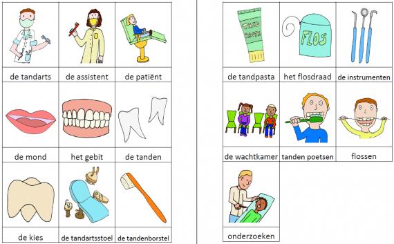 Woordkaartjes tandarts kleur