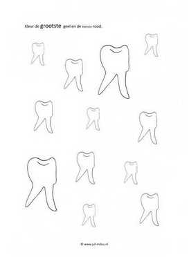 Werkblad tandarts - Klein en groot