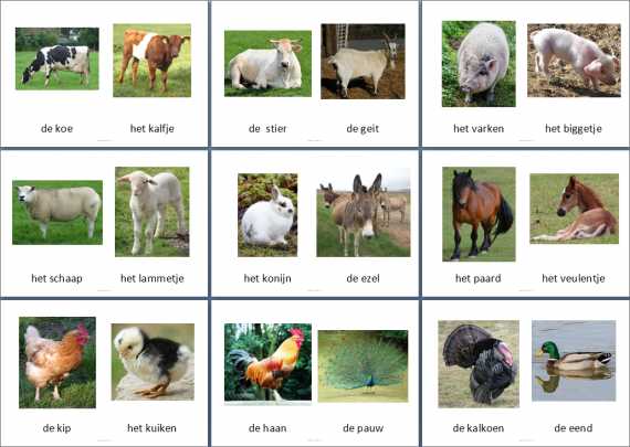 Themakaarten - boerderijdieren - klein