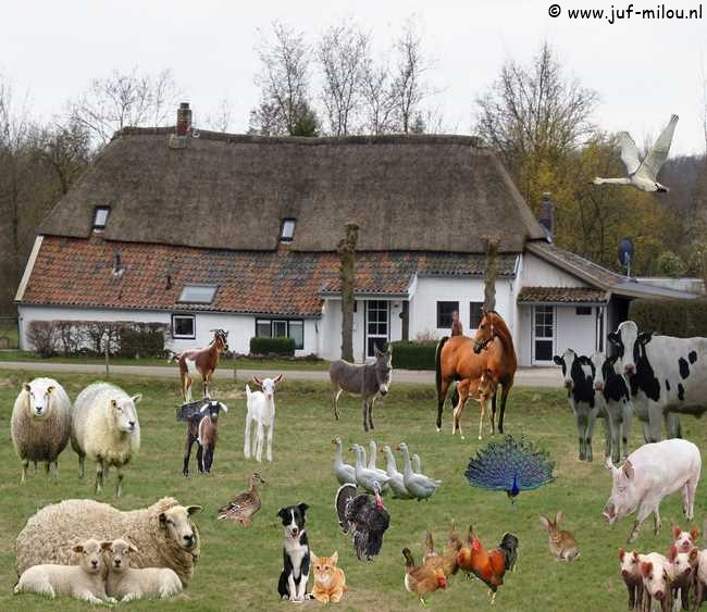 Praatplaat boerderijdieren