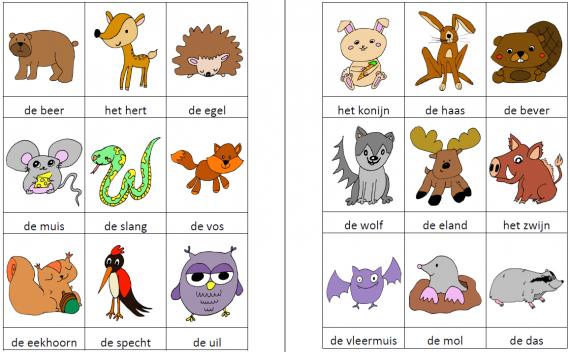 Woordkaartjes bosdieren kleur