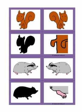 Werkblad bosdieren - Visuele waarneming