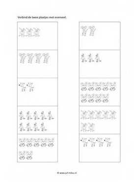 Werkblad bosdieren - Evenveel 4