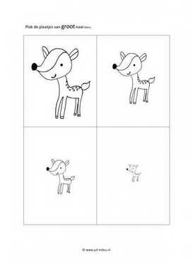 Werkblad bosdieren - Groot naar klein 4 stukjes