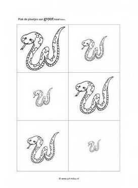 Werkblad bosdieren - Groot naar klein 6 stukjes