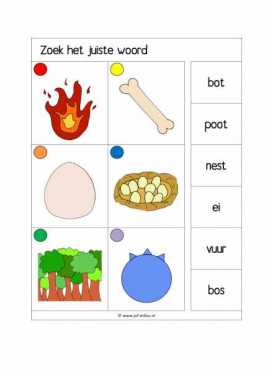 Knijpkaarten Zoek het juiste woord