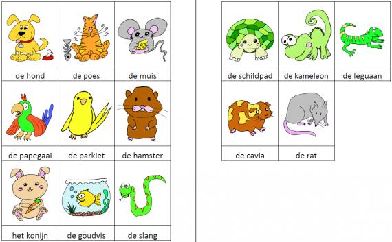 Woordkaartjes huisdieren kleur