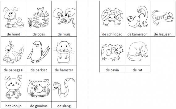 Woordkaartjes huisdieren zwart-wit