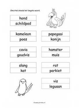 Werkblad huisdieren - Langste woord