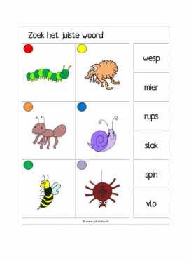 Knijpkaarten Zoek het juiste woord 1