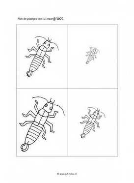 Werkblad kriebelbeestjes - Klein naar groot 4 stukjes