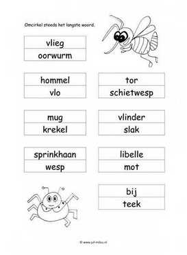 Werkblad kriebelbeestjes - Langste woord