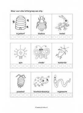 Werkblad kriebelbeestjes - Lettergrepen