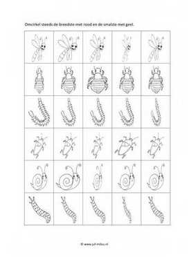 Werkblad kriebelbeestjes - Smal en breed