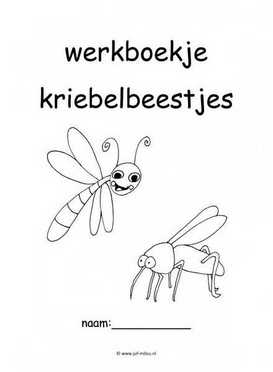 Werkboekje kriebelbeestjes 2