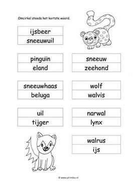 Werkblad sneeuwdieren - Kortste woord