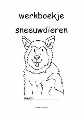 Werkboekje sneeuwdieren 2