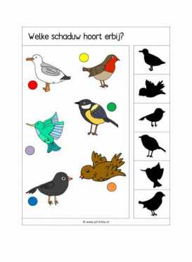 Knijpkaarten Welke schaduw hoort erbij