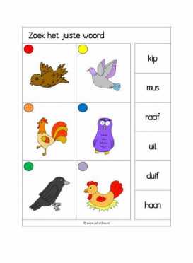 Knijpkaarten Zoek het juiste woord