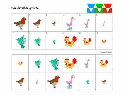 Loco Zoek dezelfde grootte
