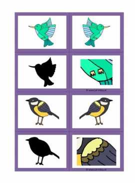 Werkblad vogels - Visuele waarneming