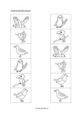 Werkblad vogels - Dezelfde 1