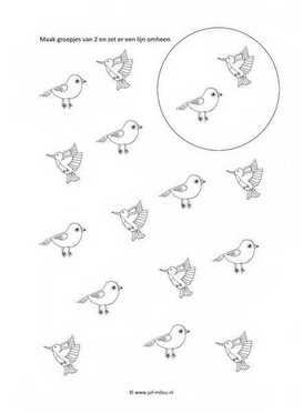 Werkblad vogels - Groepjes van 2