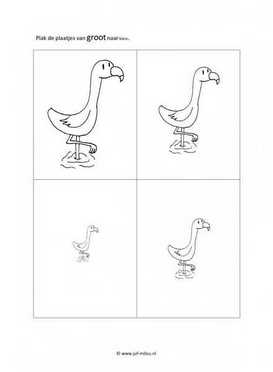 Werkblad vogels - Groot naar klein 4 stukjes