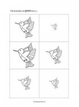 Werkblad vogels - Groot naar klein 6 stukjes