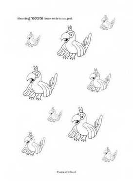 Werkblad vogels - Klein en groot
