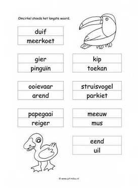 Werkblad vogels - Langste woord