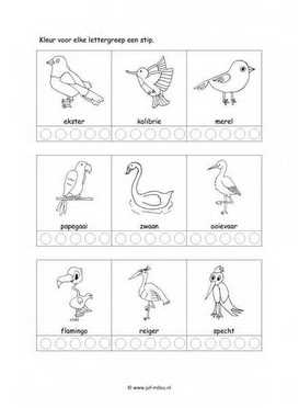 Werkblad vogels - Lettergrepen