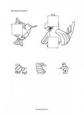 Werkblad vogels - Visuele waarneming