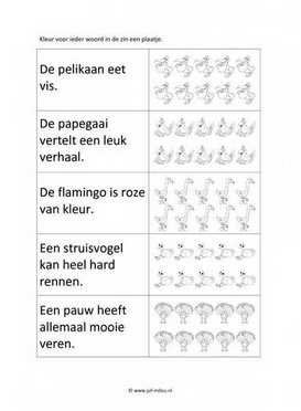 Werkblad vogels - Woorden tellen