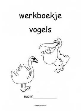 Werkboekje vogels 1