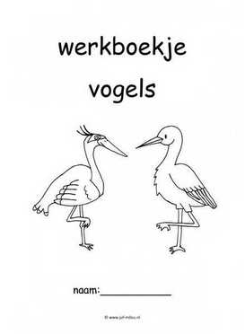 Werkboekje vogels 2