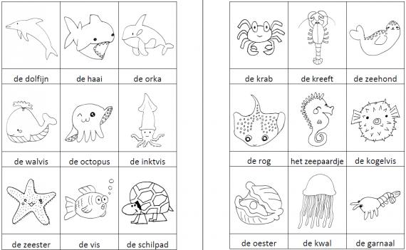 Woordkaartjes zeedieren zwart-wit