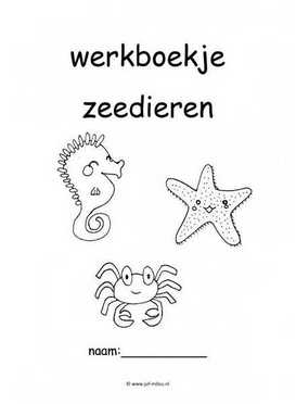 Werkboekje zeedieren 2