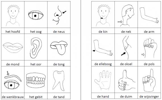 Woordkaartjes lichaam zwart-wit