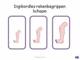 Digibord - Rekenbegrippen