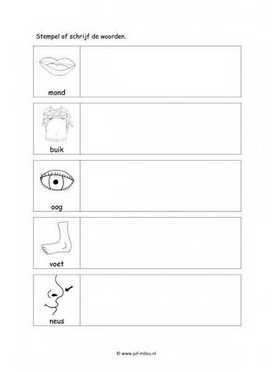 Werkblad lichaam - Woorden stempelen