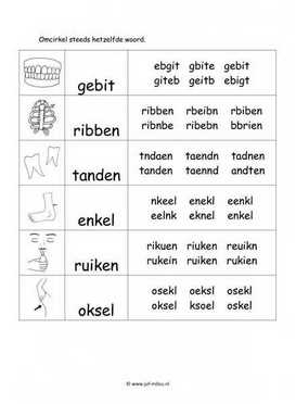 Werkblad lichaam - Woordherkenning 2 moeilijk