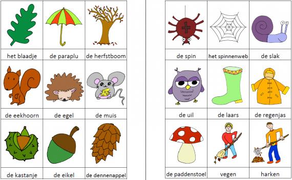 Woordkaartjes herfst kleur