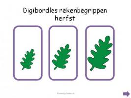 Digibord - Rekenbegrippen