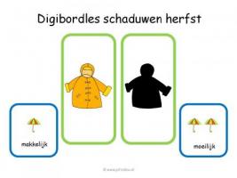Digibord - Schaduwen