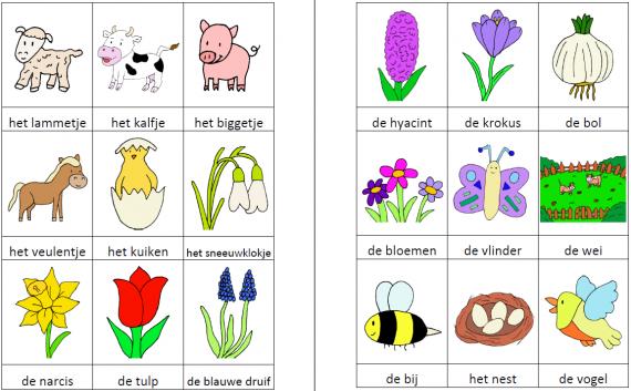 Woordkaartjes lente kleur