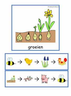 Beebots - Woordenschat