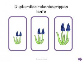 Digibord - Rekenbegrippen