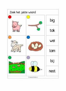 Knijpkaarten Zoek het juiste woord