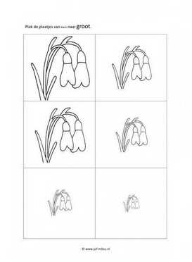 Werkblad lente - Klein naar groot 6 stukjes